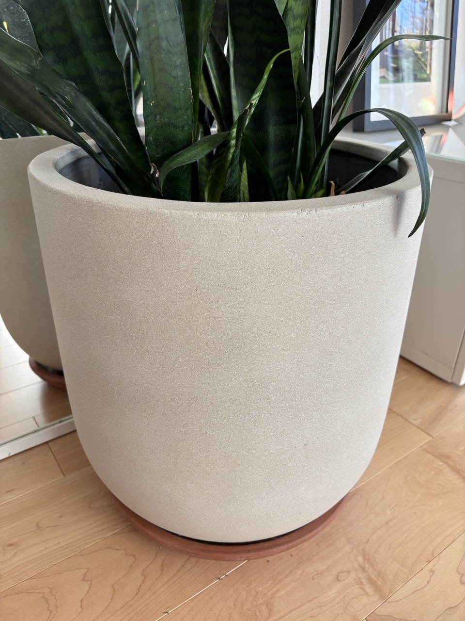 Plant Pot - Cement Taupe