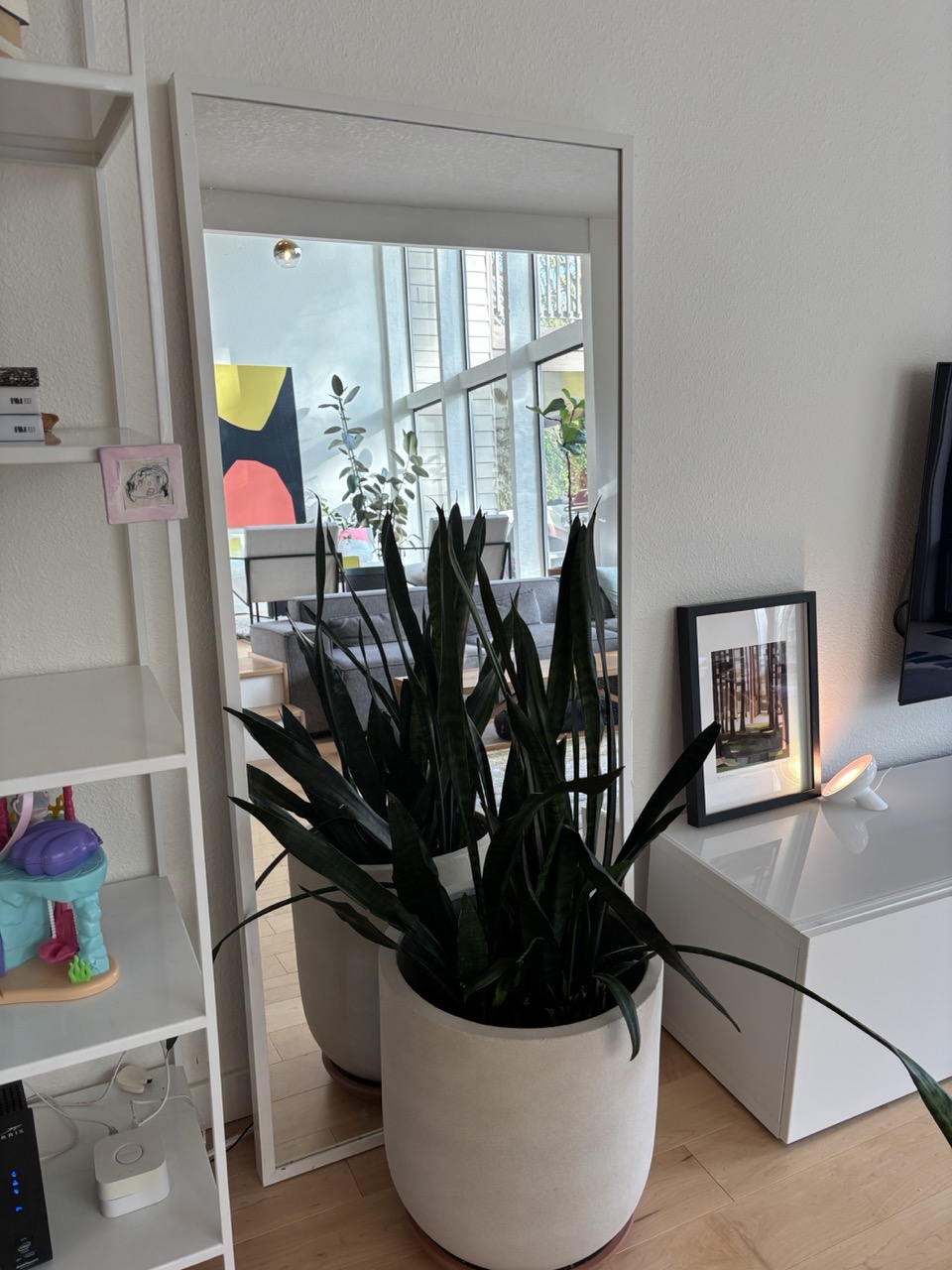 Mirror – White Trim