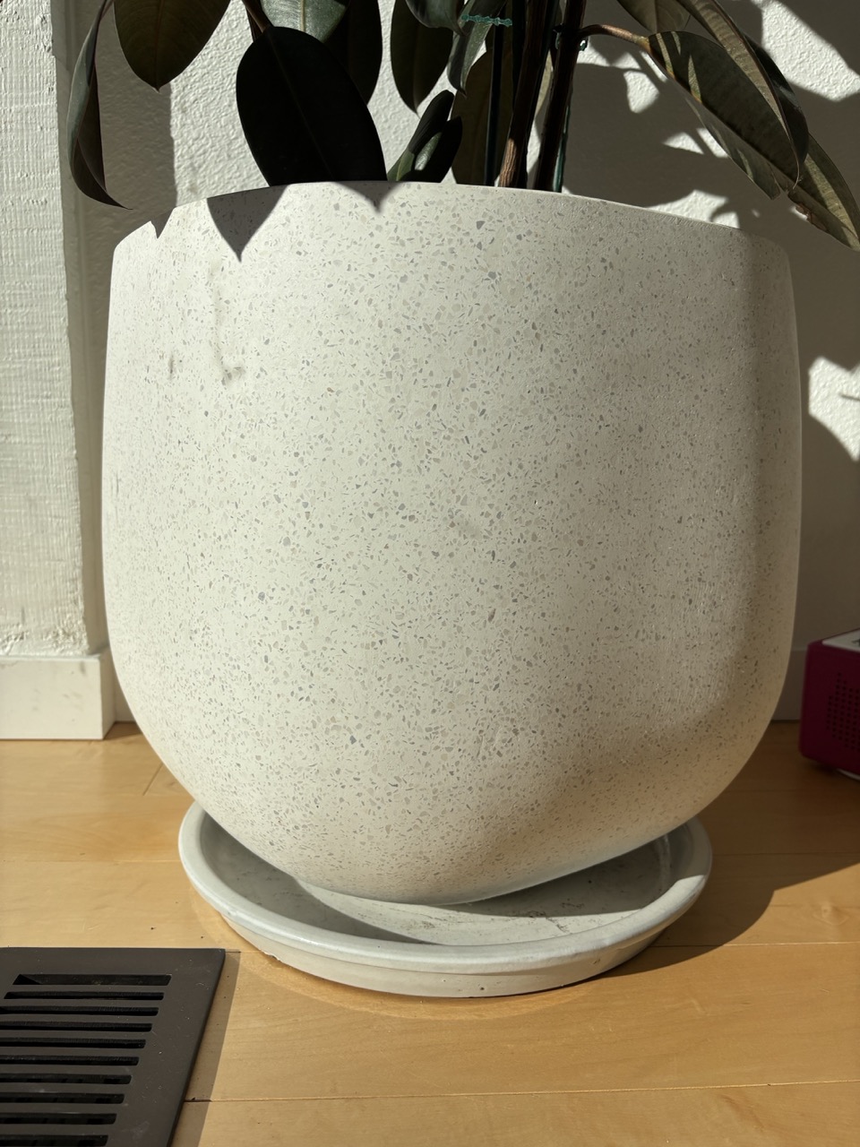 Plant Pot - Cement Terrazo White